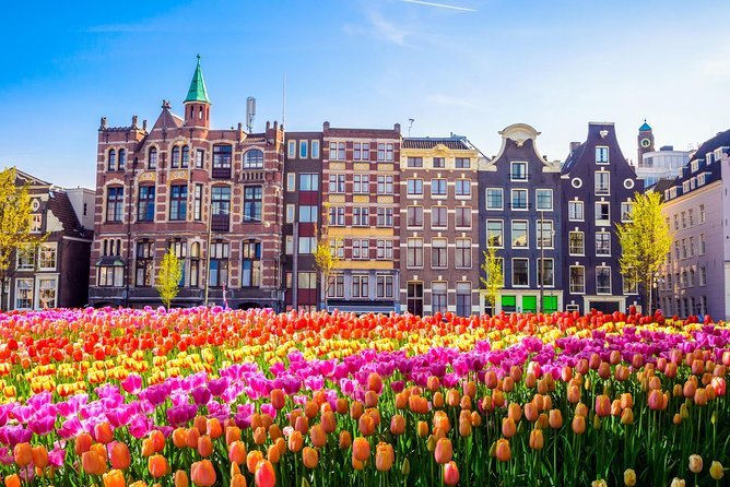 Amsterdam Day Trip from Brussels - The bus ride reality: you’re trading comfort for time