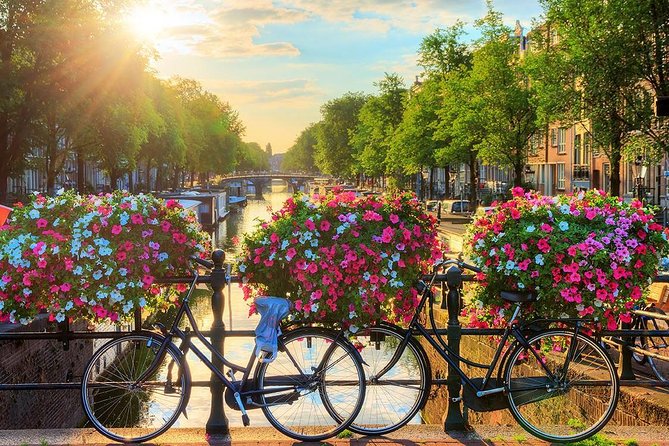 Amsterdam Day Trip from Brussels - Who should book this day trip from Brussels