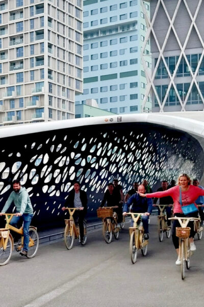 Antwerp: The Big 5 City Highlights by Wooden Bike - The COCO-MAT wooden bike comfort factor (and why it matters)
