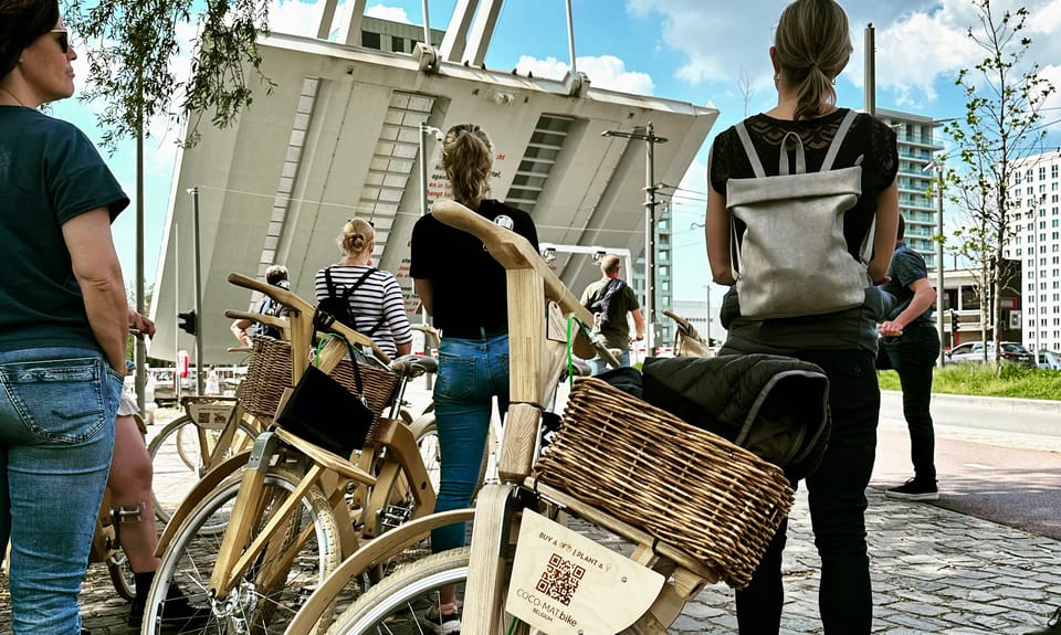 Antwerp: The Big 5 City Highlights by Wooden Bike - Diamond District and Royal Museum area: art, gems, and quick storytelling