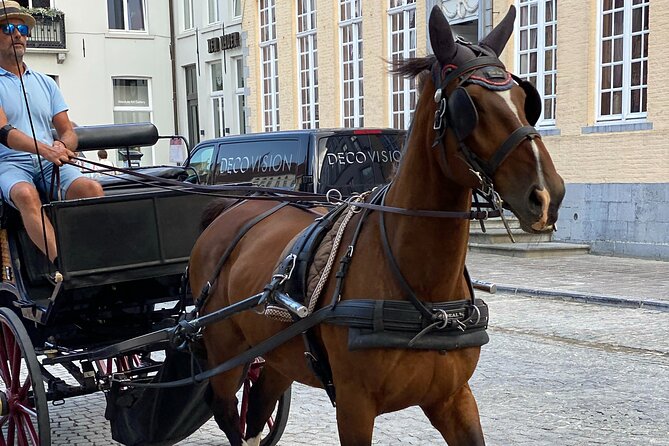 Bruges by a Local: Exciting Stories, Mysteries, People and Choco - Walking in Bruges starts at the Markt and Belfort