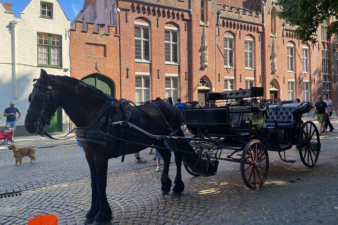 Bruges by a Local: Exciting Stories, Mysteries, People and Choco - Who this tour fits (and who might want a different format)