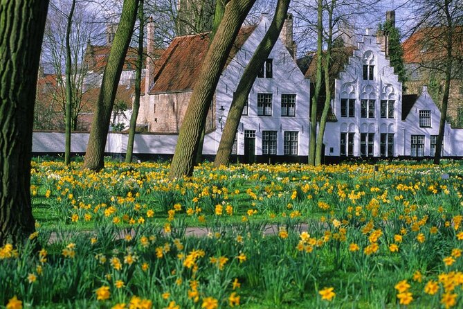 Bruges by bike with friends and family! - Key Highlights You’ll Care About