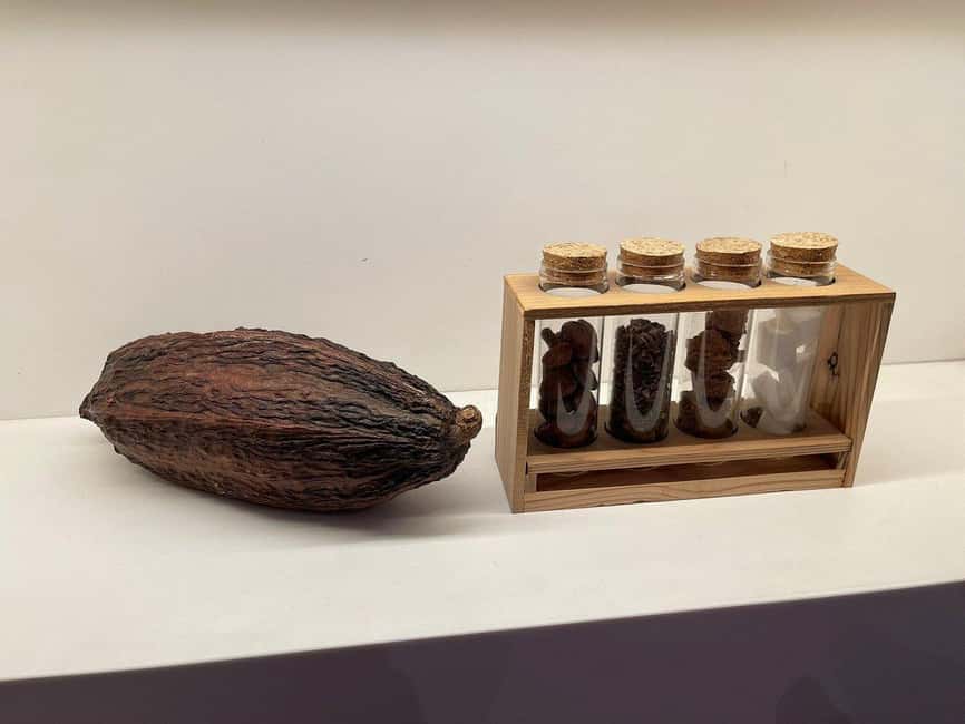 Brussels: Chocolate Appreciation and Tasting Walking Tour - Key Things That Make This Tour Worth Your Time