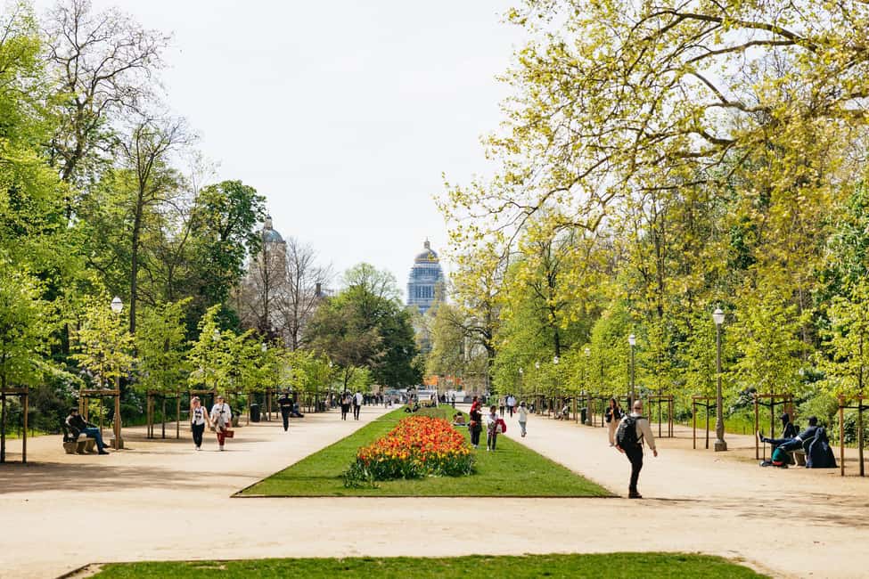 Brussels: City Highlights and Hidden Gems Bike Tour - Bikes, Group Energy, And What Makes The Tour Feel Local