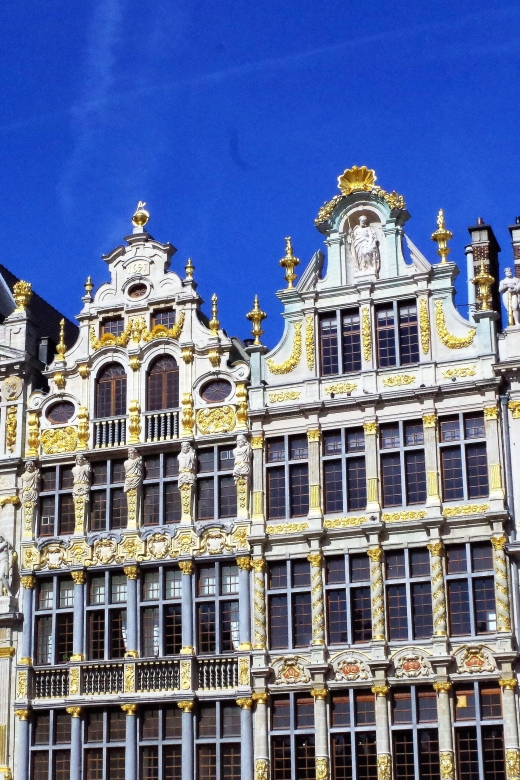 Brussels: Walking Tour with Belgian Lunch, Chocolate, & Beer - Who this tour fits best (and who should skip it)