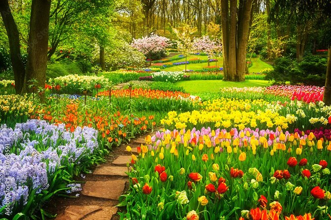 Delft and Keukenhof Gardens Tour from Brussels - Keukenhof Gardens: Tulips, Pavilions, and How to Use Your Time