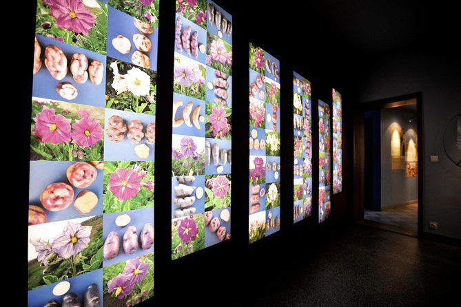 Frietmuseum Entrance Ticket - Time, price, and what feels like good value