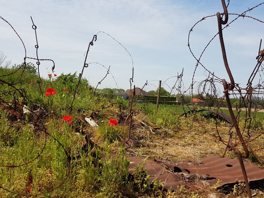 From Bruges: Great War Flanders Fields Minibus Tour w/ Lunch - Passchendale and Polygon Wood: war graves in the field