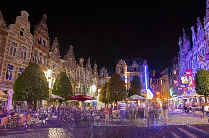 Leuven: City Walk with Audio Guide in 7 Languages on your Phone - Stop 4: Brewery Domus for beer culture and a practical break
