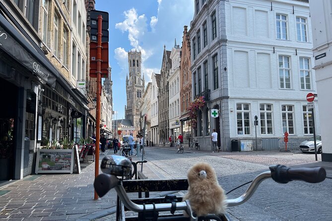 Private Full-Day Tour Bruges & Ghent from Brussels with tastings - Guide experience varies: how to lower the odds of a bad day