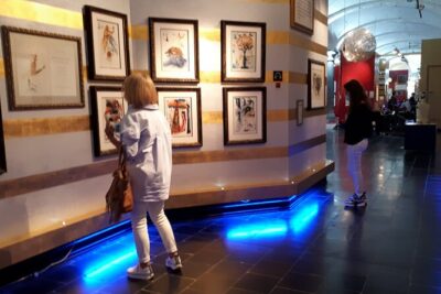 Salvador Dalí Exhibition in Bruges Admission Ticket - Inside Adornes Hall: why the room design matters as much as the art