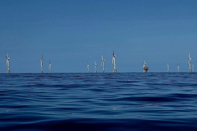 Unforgettable sea trip to the wind farms in the North Sea - Meeting the captain and guide before you’re out there