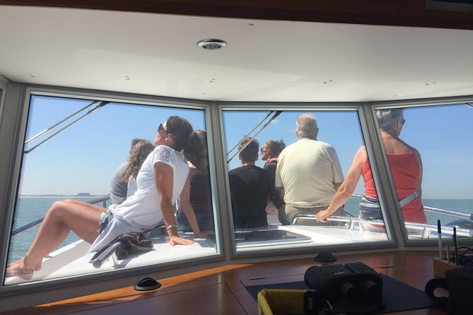 Unforgettable sea trip to the wind farms in the North Sea - Getting close to the turbines: what you’ll see and what you won’t